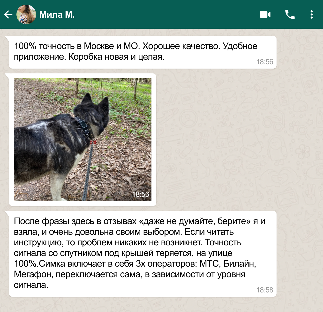 GPS-ошейник (трекер) для кошек Petsee купить на официальном сайте, цена ...