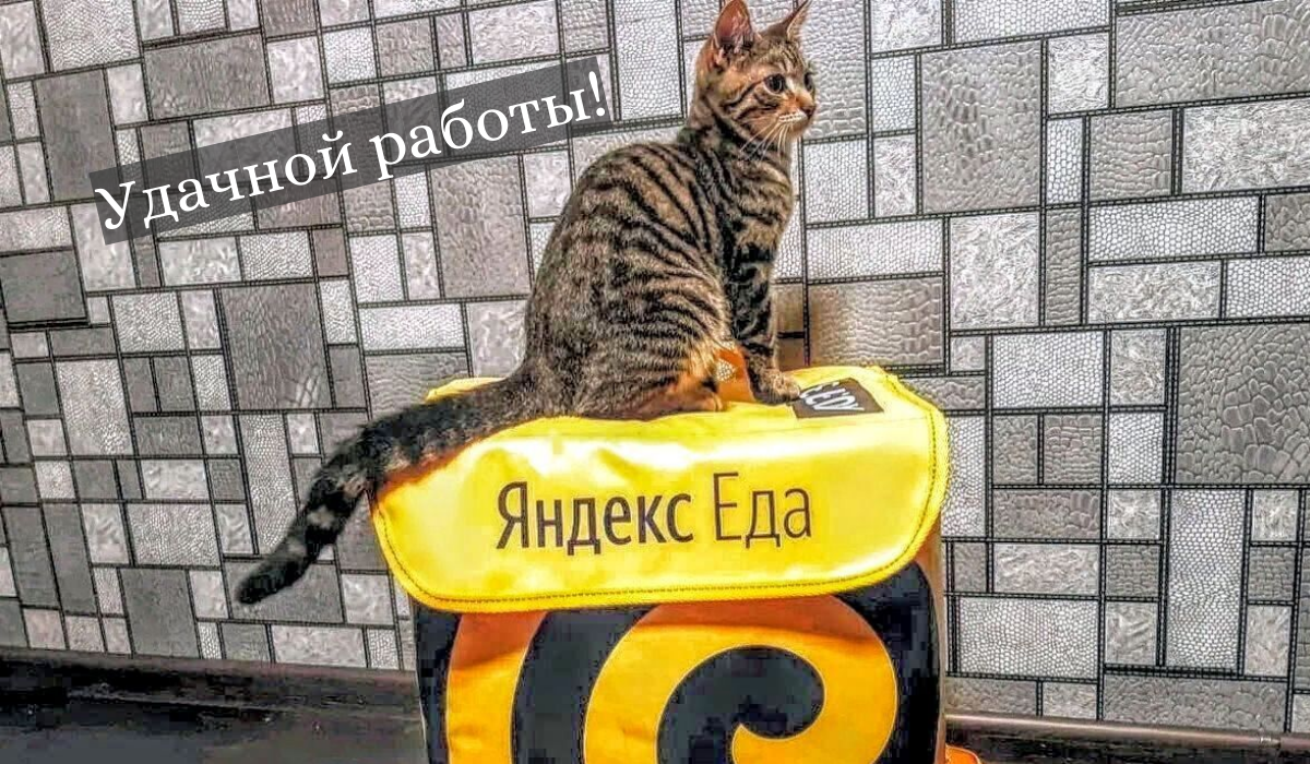 Работа, подработка курьером. Доход до 130000 руб. Выплаты ежедневно.