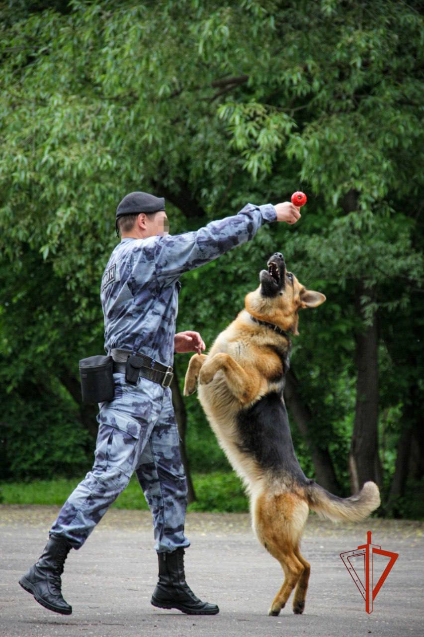 Кинолог ОМОН