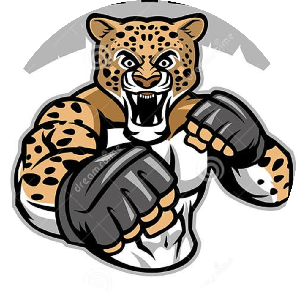 Центр боевых искусств \"Пардус\"