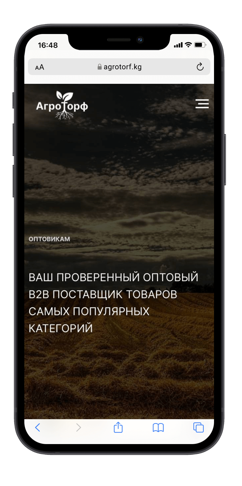 Студия веб-дизайна Шеиной Александры. Разработка сайта на тильде. Сделать сайт на тильде. Заказать сайт на тильде.
