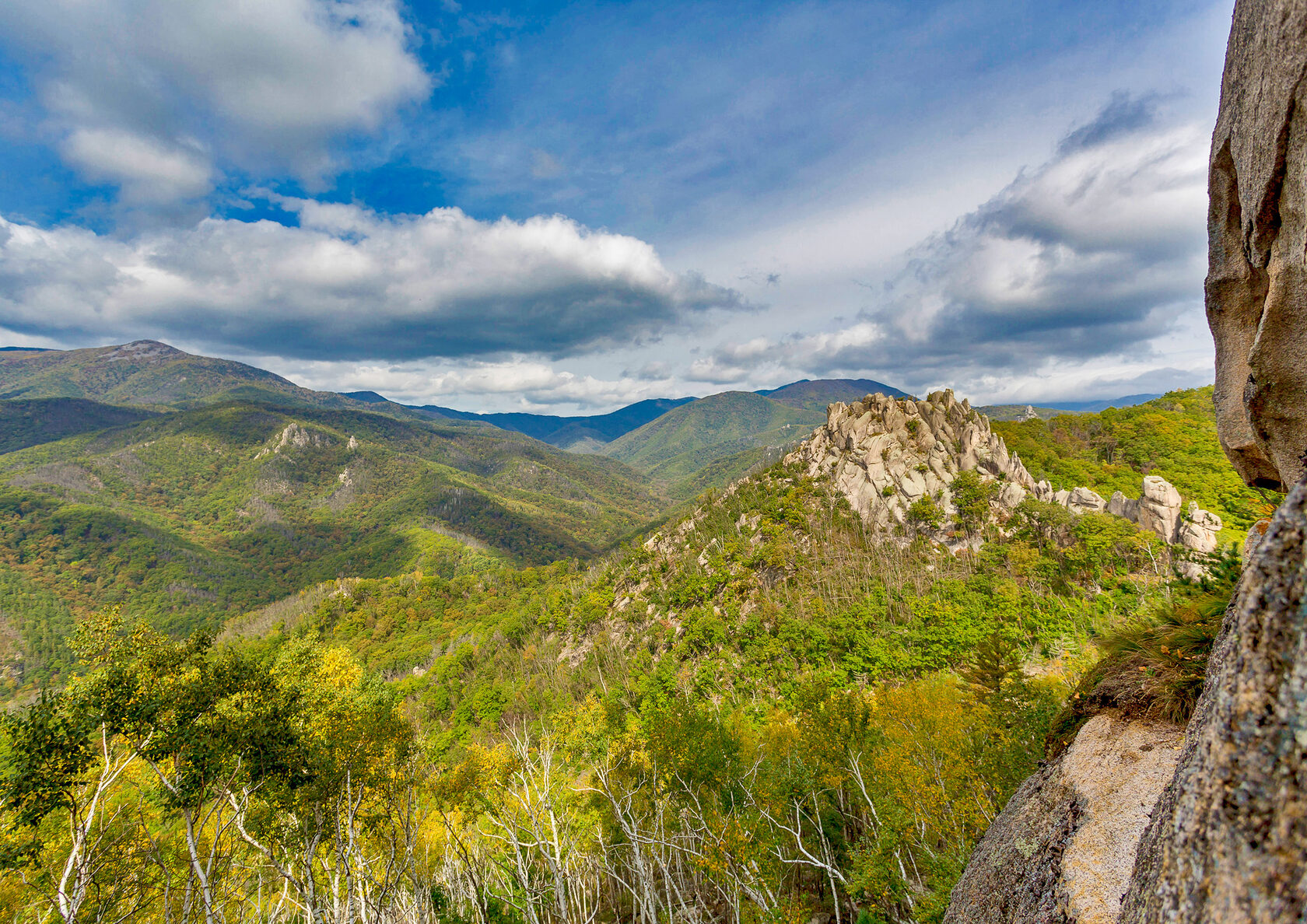Дардонела ущелье дарданеллы. Ущелье дарданеллы приморский. Гора дарданеллы приморский край. Ущелье дарданеллы замок принцессы. Ущелье щеки дарданеллы приморский край.