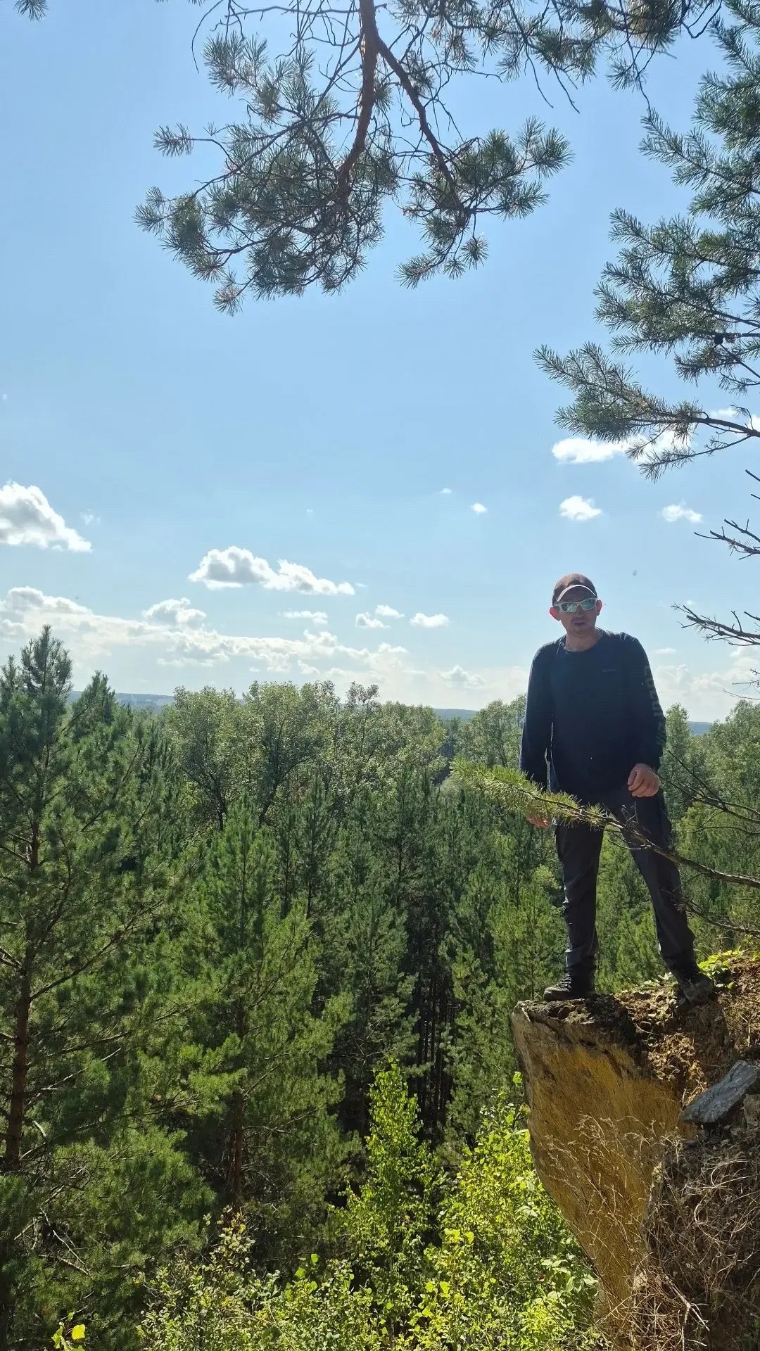 🌲