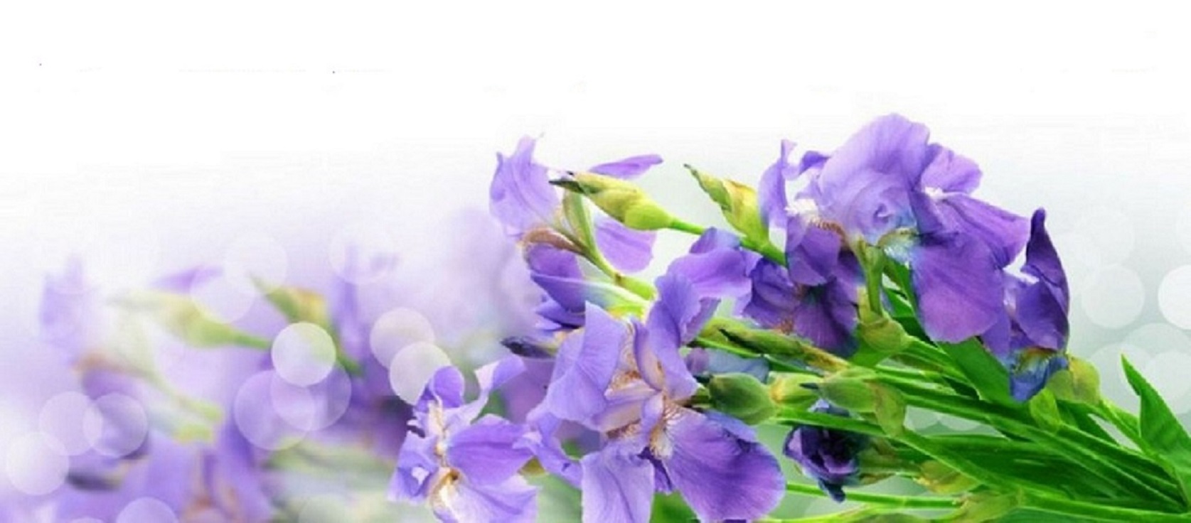 Обучение шугарингу и восковой депиляции в Красноярске - Школа Ирис