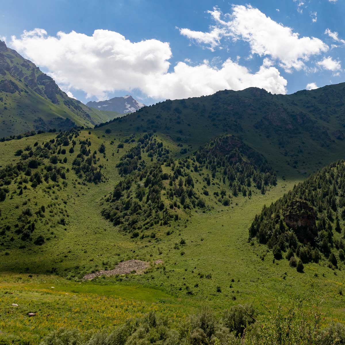 чичкан киргизия