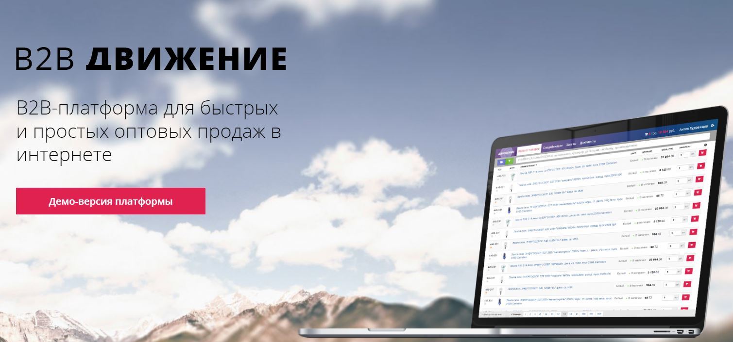 Как правильно выбрать модель B2B-системы