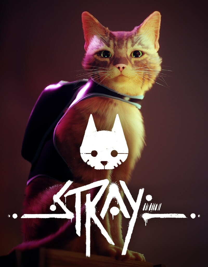 Stray