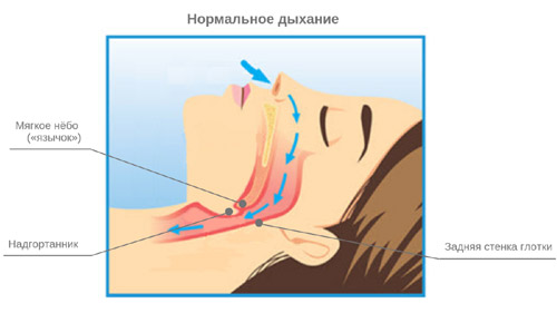 Наличие храпа помогут выявить современные технологии