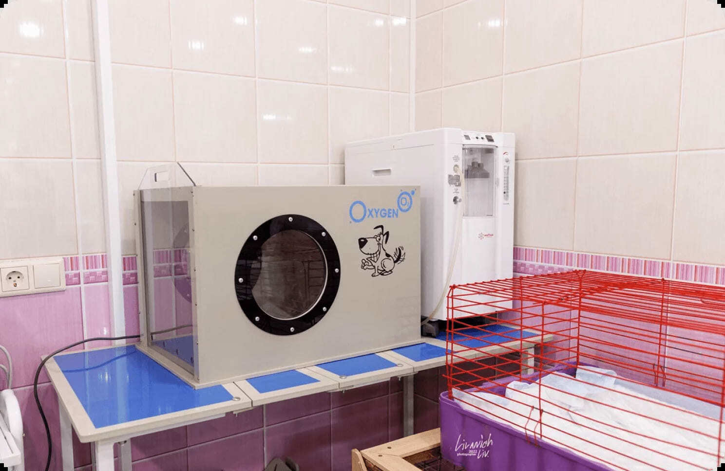 Ветеринарная клиника