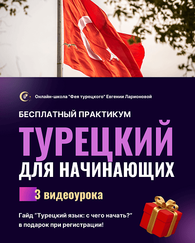 падежи в турецком
