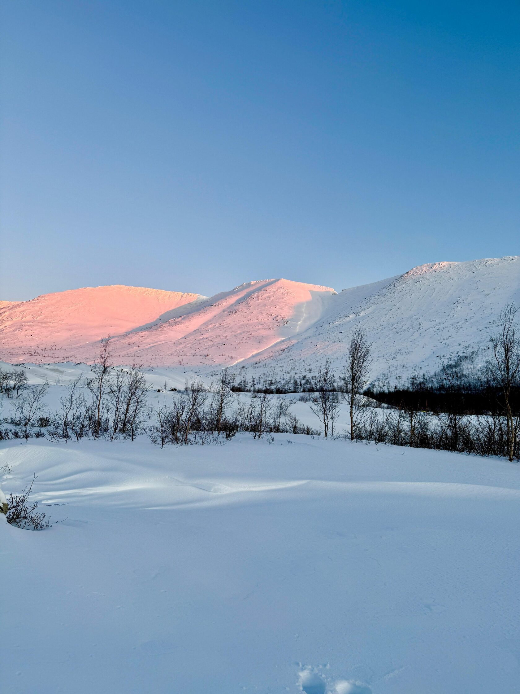 Мурманск экскурсионные туры к китам