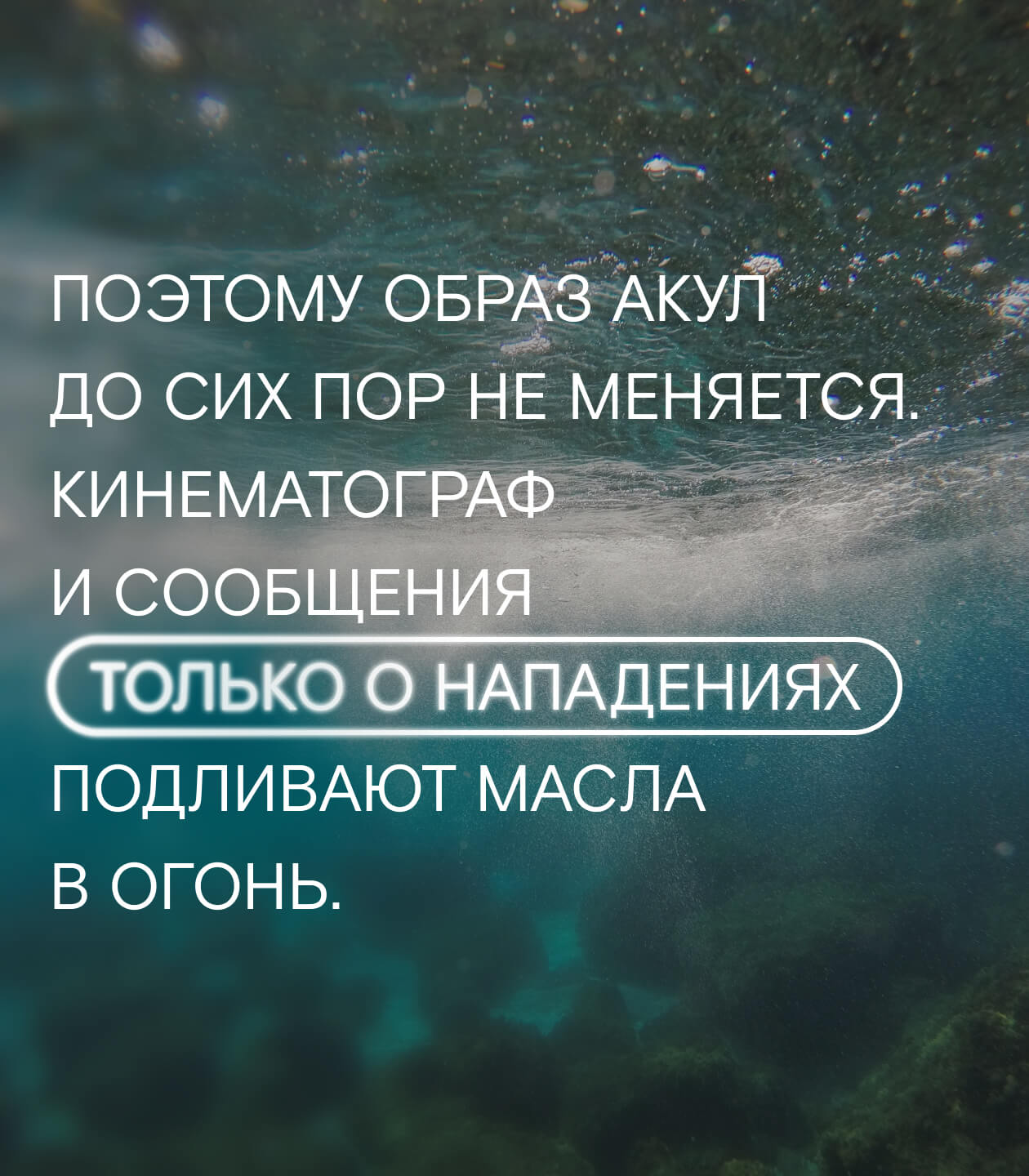 Каждая акула — личность. Поэтому с ними и не скучно»