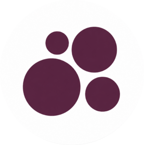 website icon