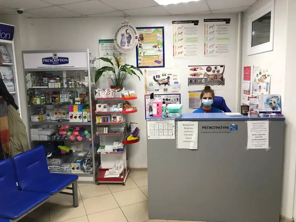 Стойка ресепшн и зона ожидания в ветклинике в Родниках