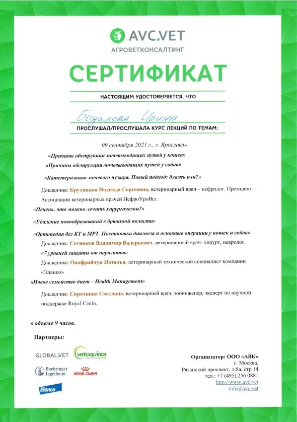 Сертификат 5 Бодалова И.А.