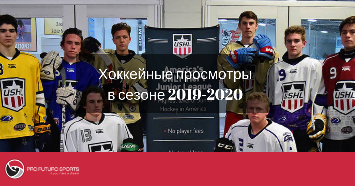 Анкета хоккейного агентства PFS