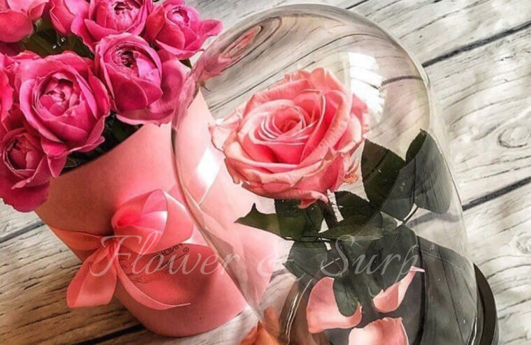 Хитом последних лет для подарка женскому полу является вечный цветок в колбе. Обычно для такой композиции флористы используют розы и их лепестки.