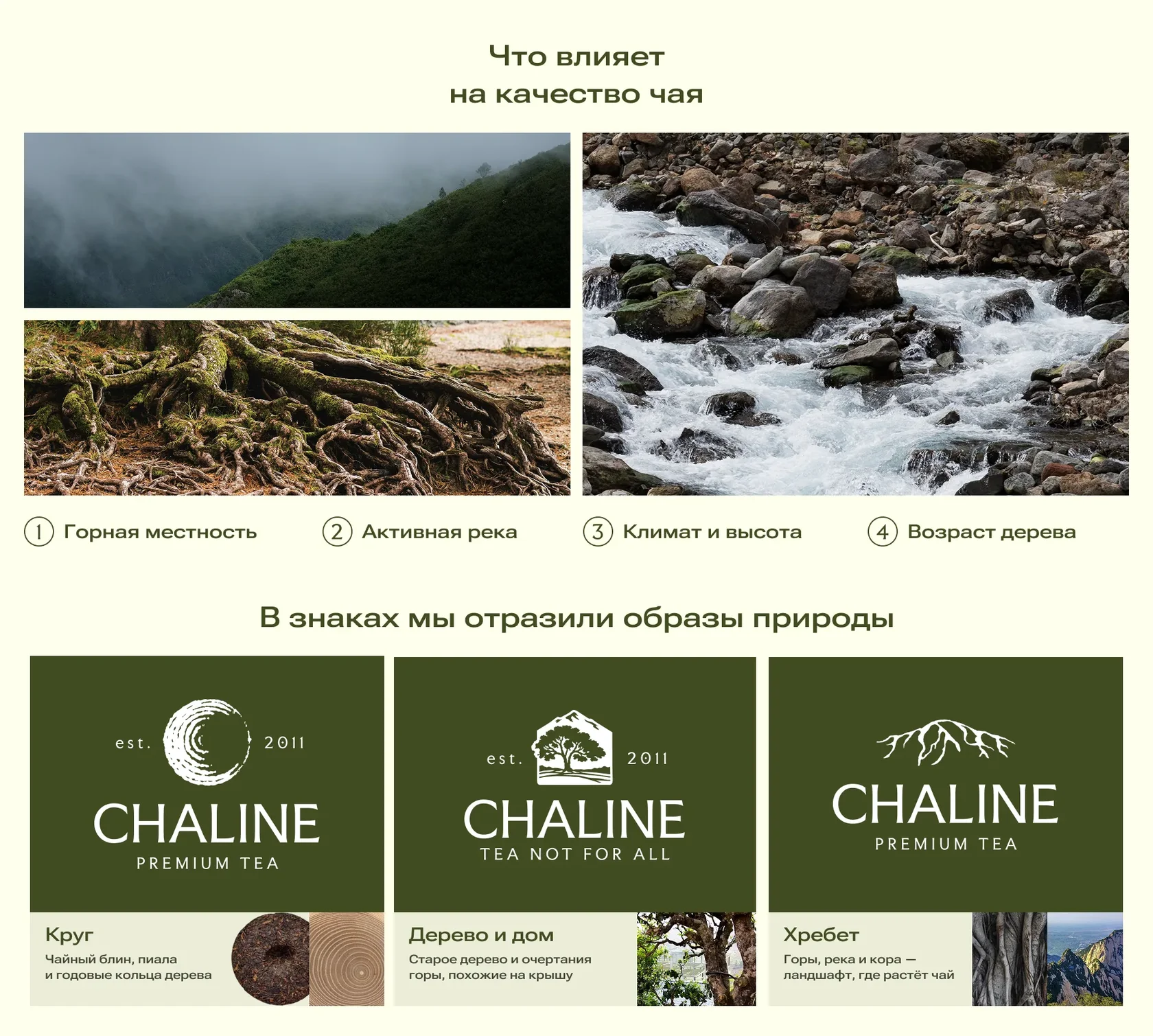 Концепция логотипа Chaline: гора, вода и чайное дерево
