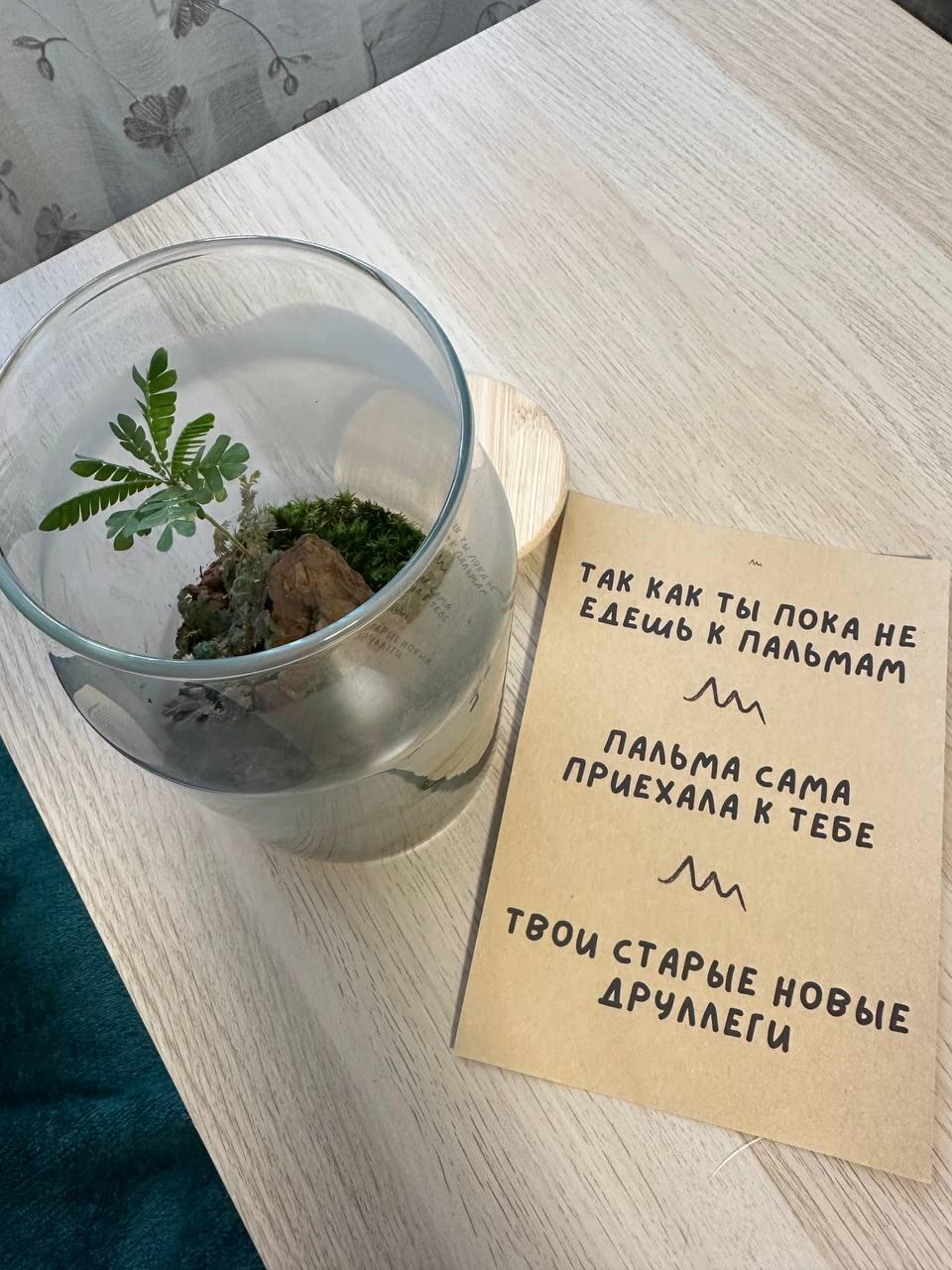 Подарили подруге