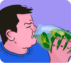 заказать сайт на тильде под ключ