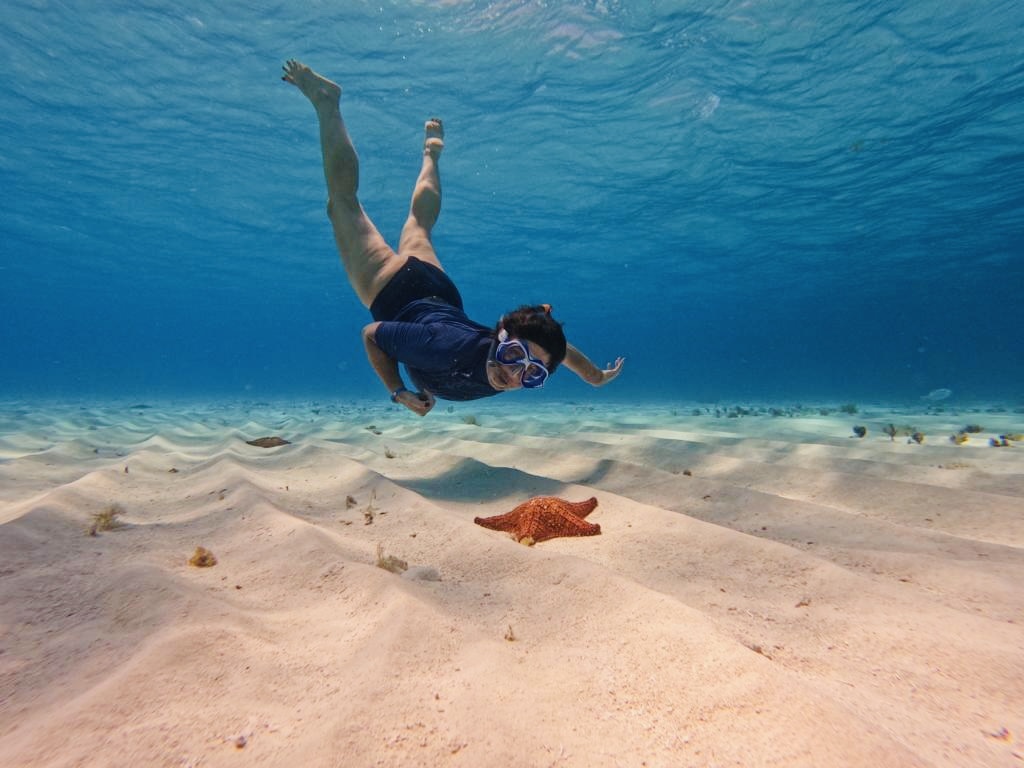 Excursion inoubliable à Cozumel El Cielo