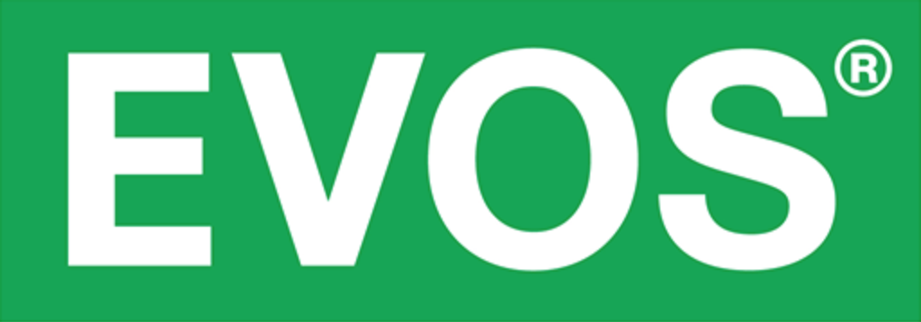 Evos nomer. UZVIPTRANSSERVICE logo.