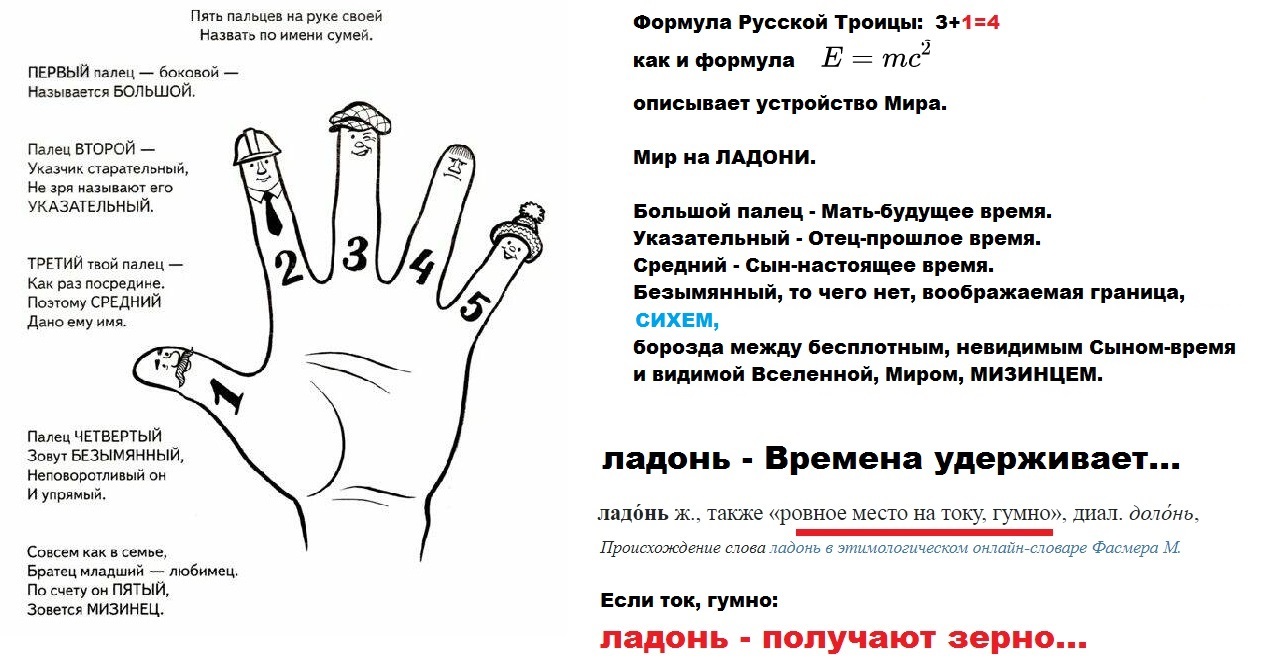 Русское название пальца