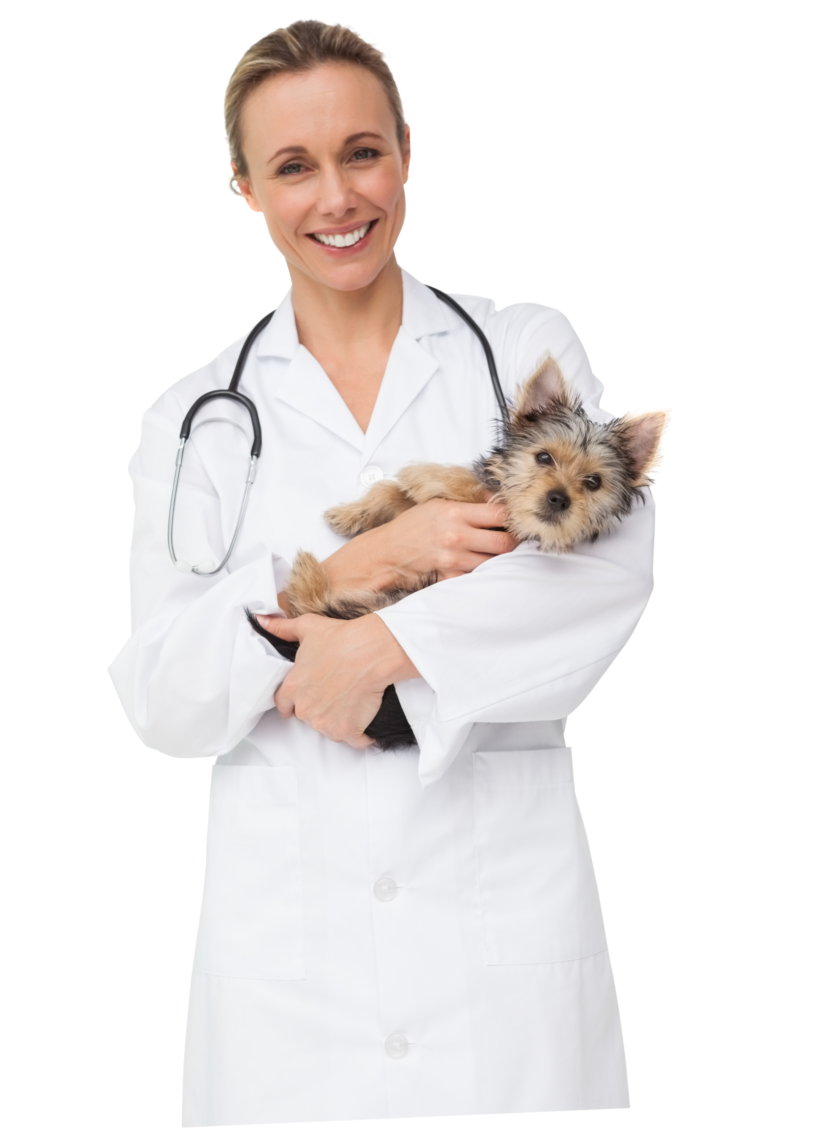 Ветеринарные услуги на дому в Москве