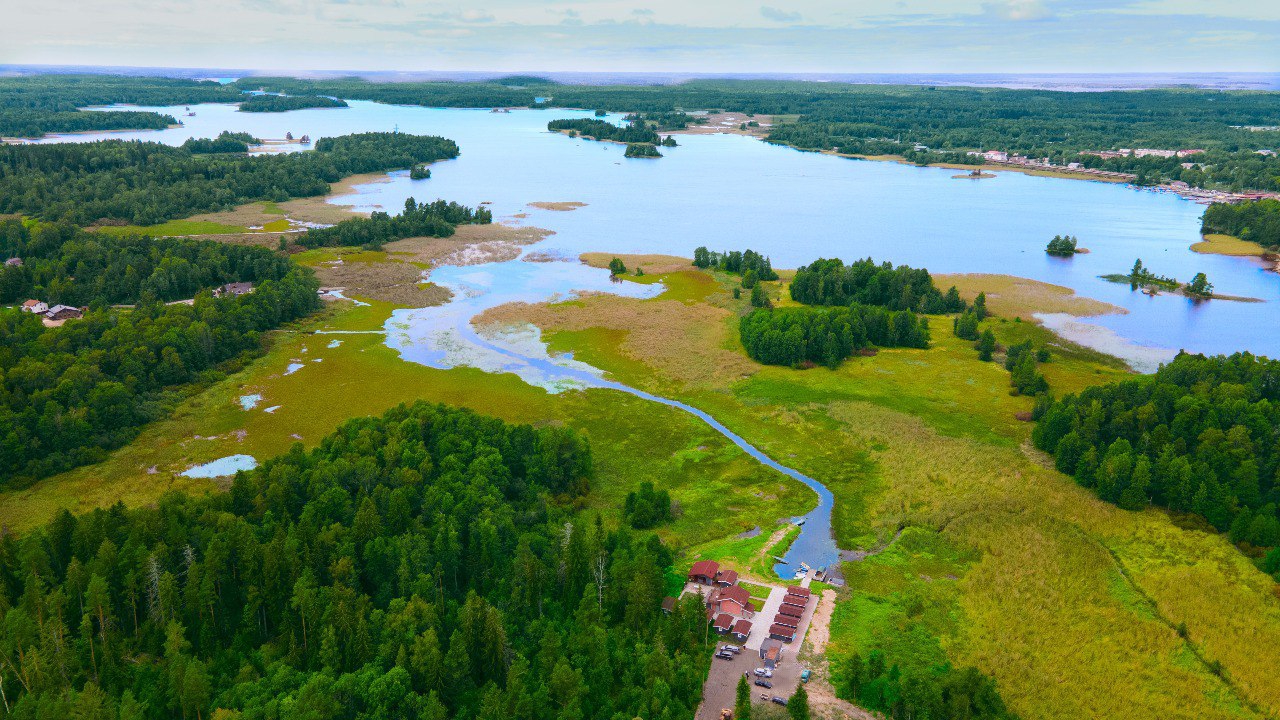 Лес