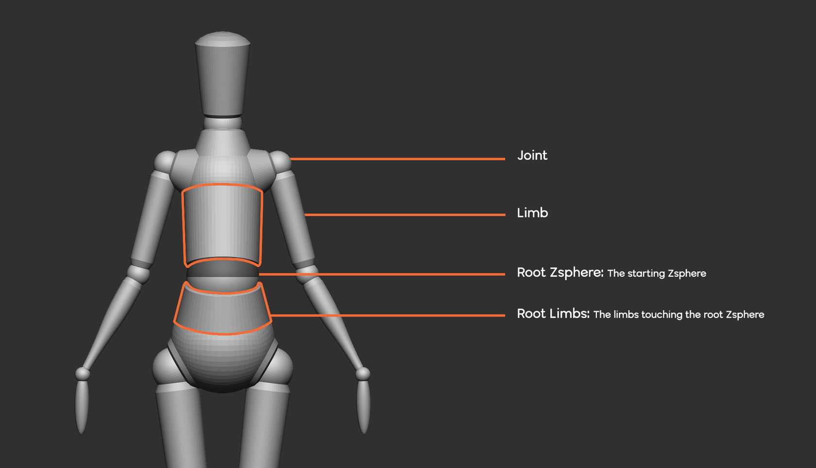 a pose mannequin zbrush