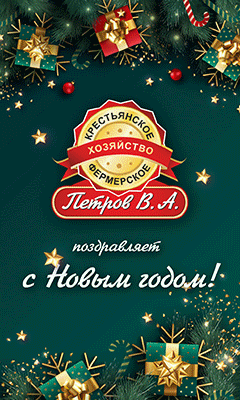 Пример баннера 240×400