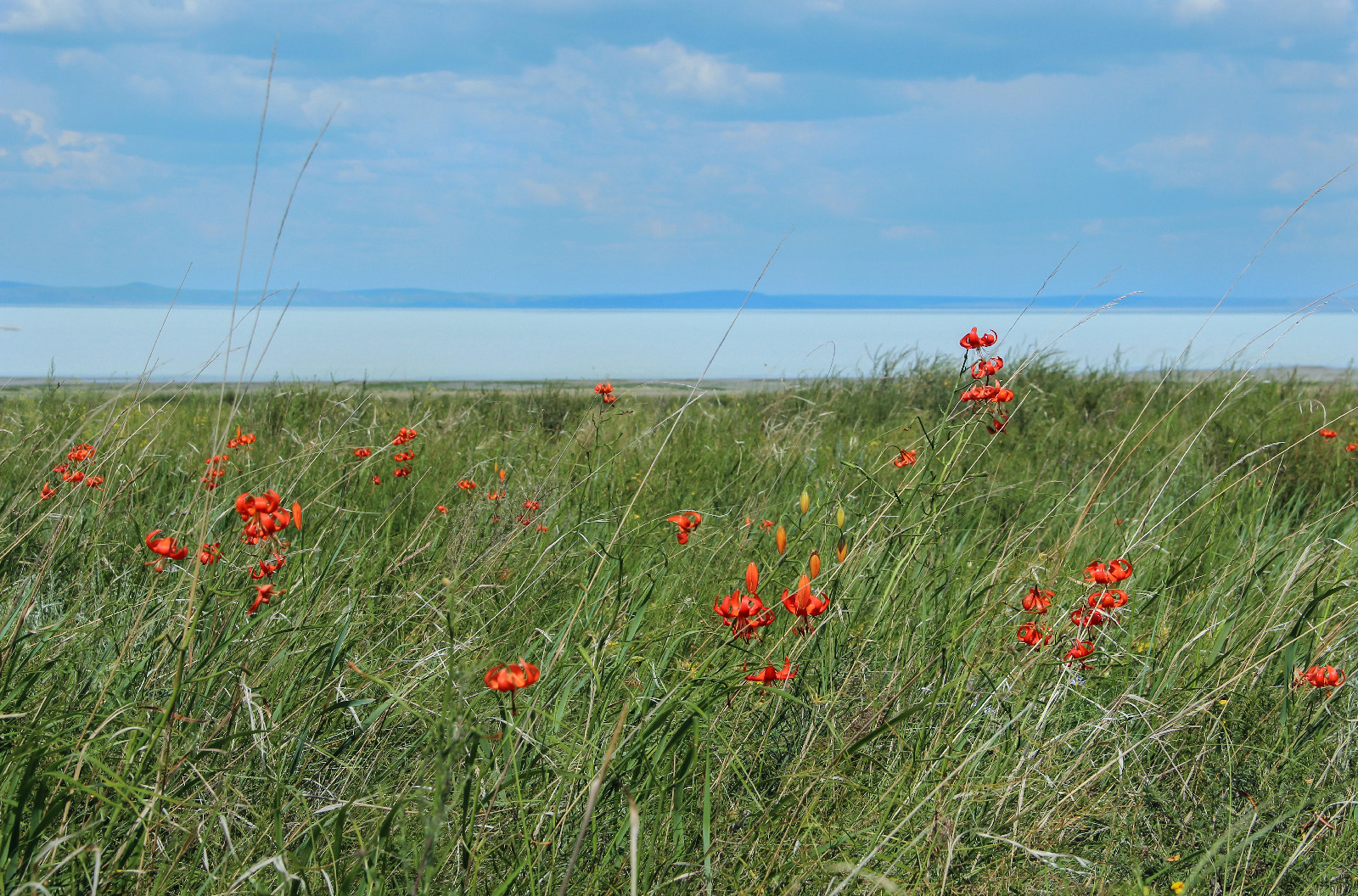 Село Даурия Забайкальского края