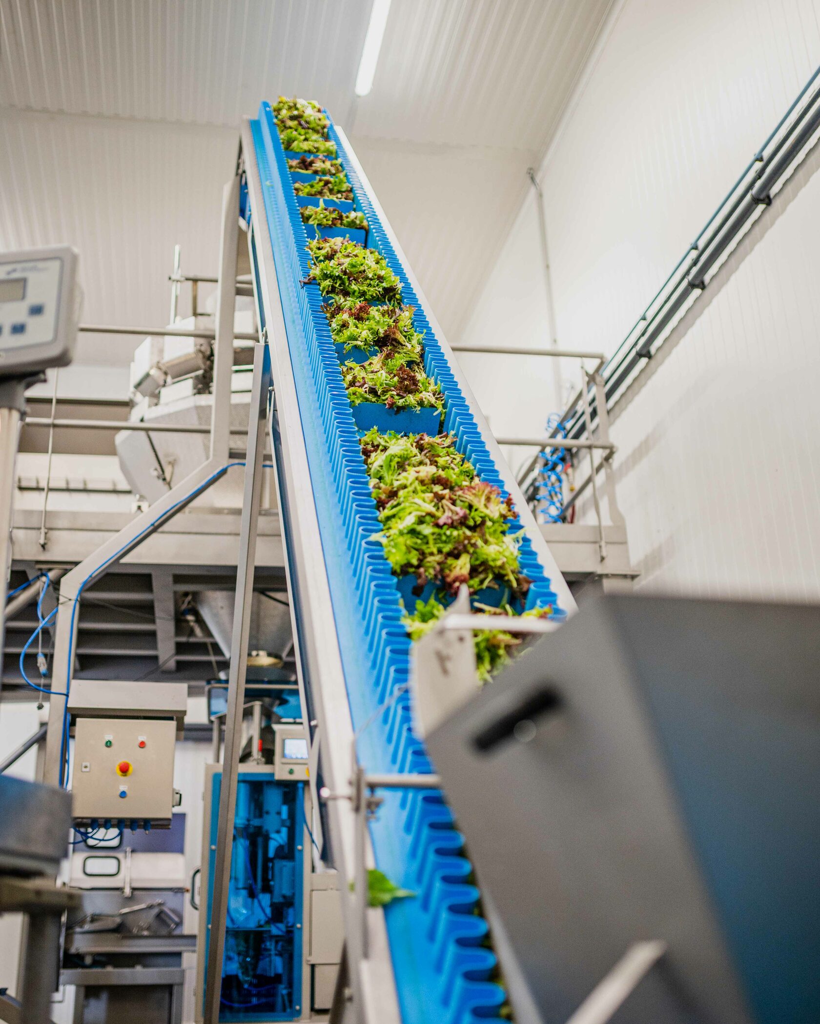 Multisla op een band