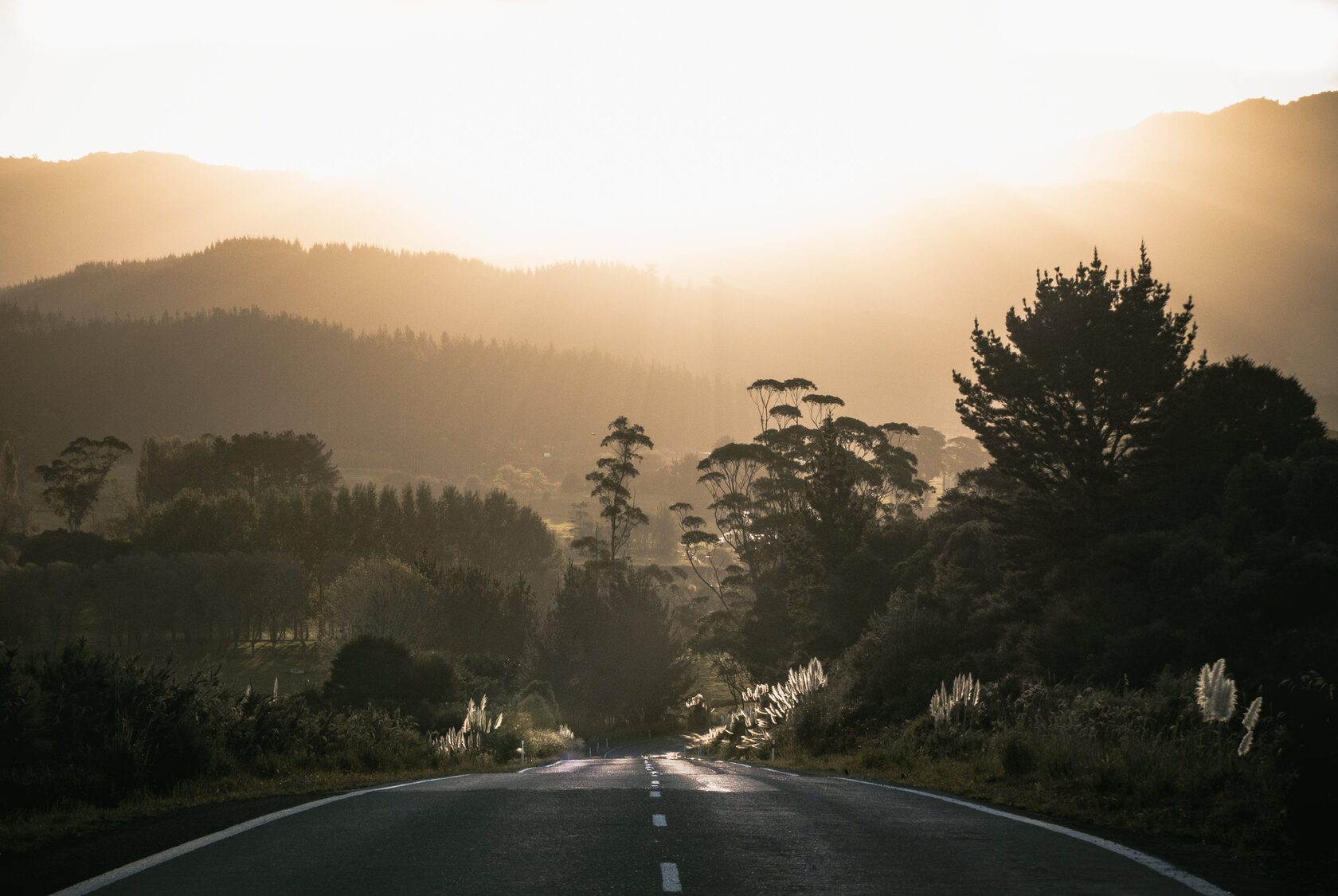moving to australia from nz, is it worth moving to australia from nz, new zealand vs australia reddit, what to do when moving from nz to australia