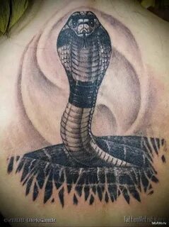 Тату кобра – 3 фото | Татуировки в виде кобры