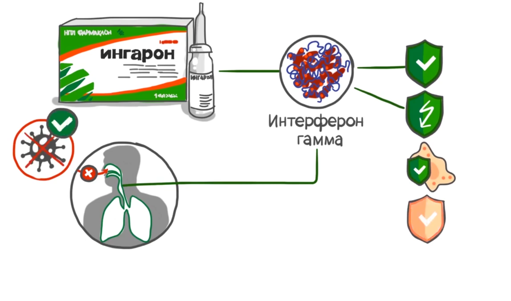 Ингарон инструкция по применению. Ингарон. Ингарон форма выпуска. Ингарон инструкция.