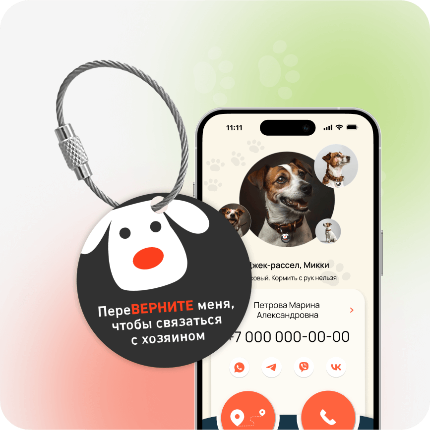 Умный QR-адресник на ошейник