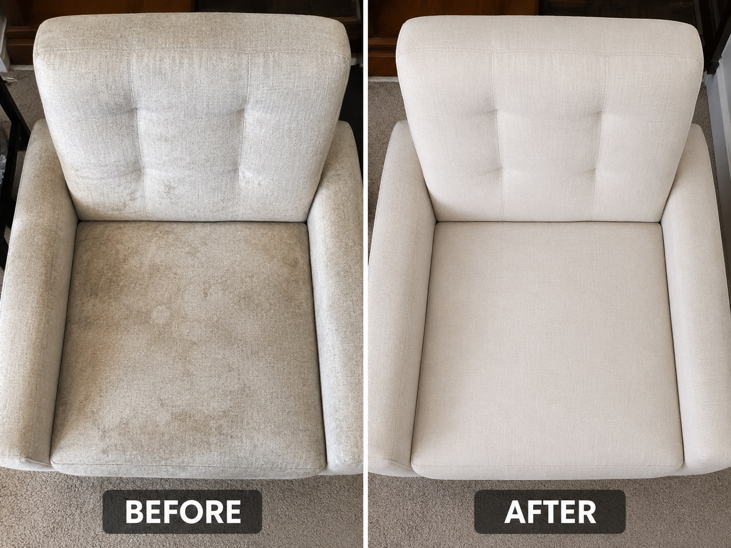 Pet stain removal result — South Florida