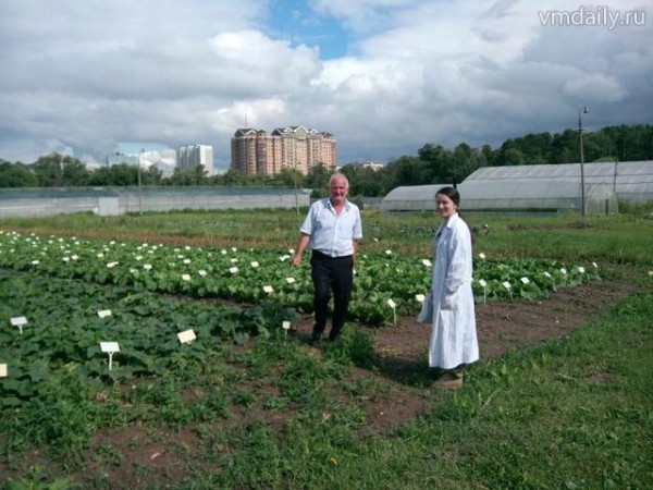 doc6b28qqftjyr1gbk2m304_800_480