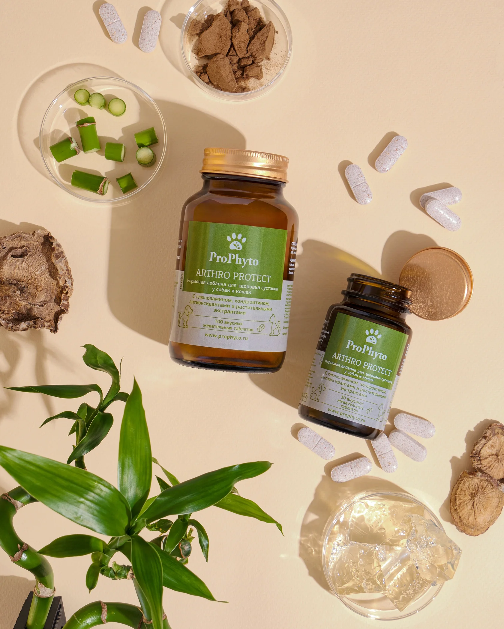 Стильная фотосъемка витаминов