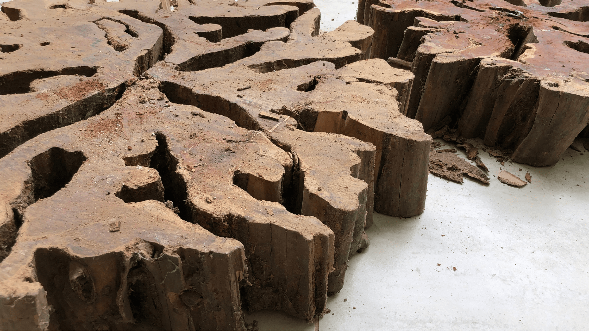 Слэбы из дерева-купить спил дерева