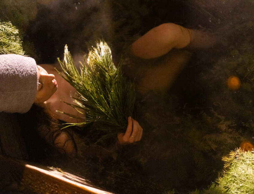 аренда бани Московская область.