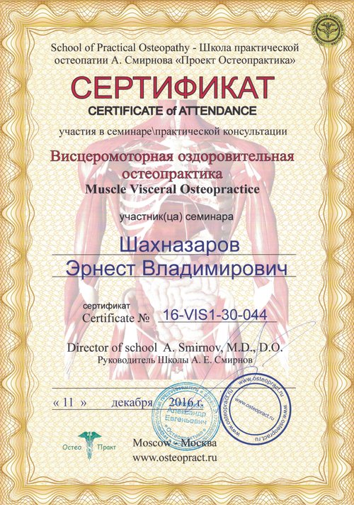 Шахназаров Эрнест Владимирович — Висцеромоторная оздоровительная остеопрактика