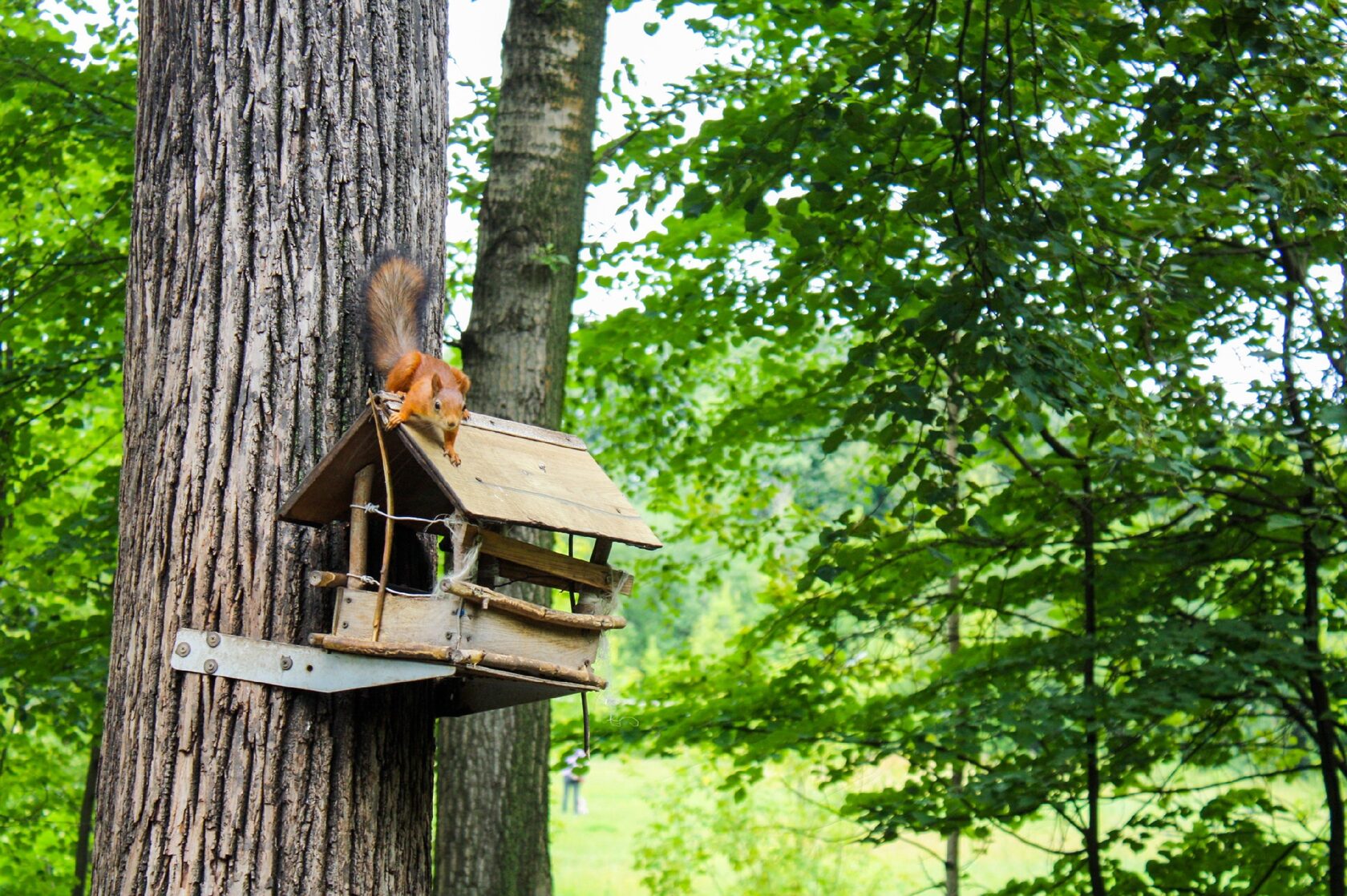 открывай вао. московская 4 муром. открывай вао. московское долголетие. открывай вао.