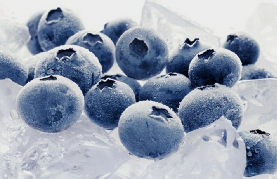 Замораживание голубики в три этапа сохраняет потребительские качества ягод в полной мере