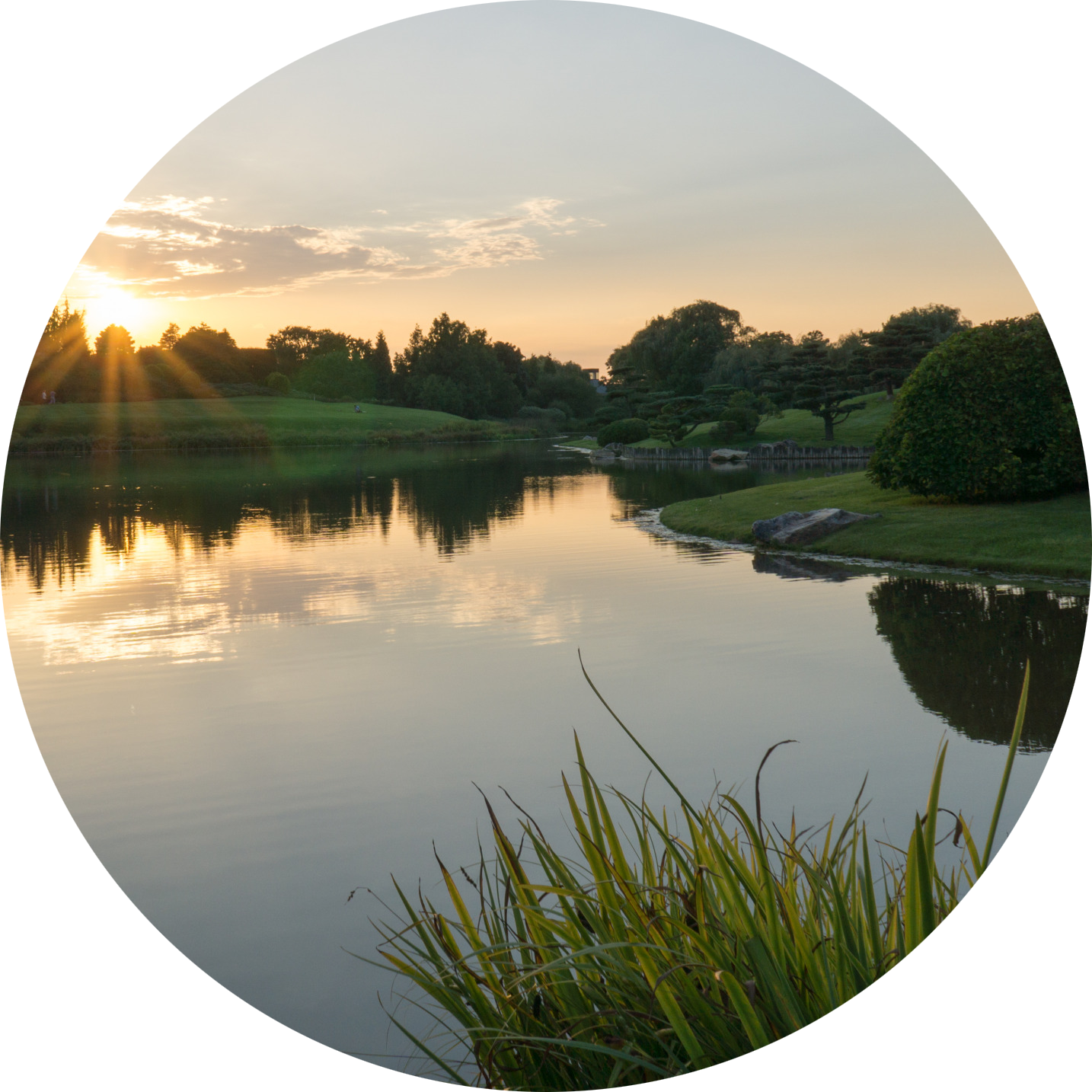 Усадьба Кожиных