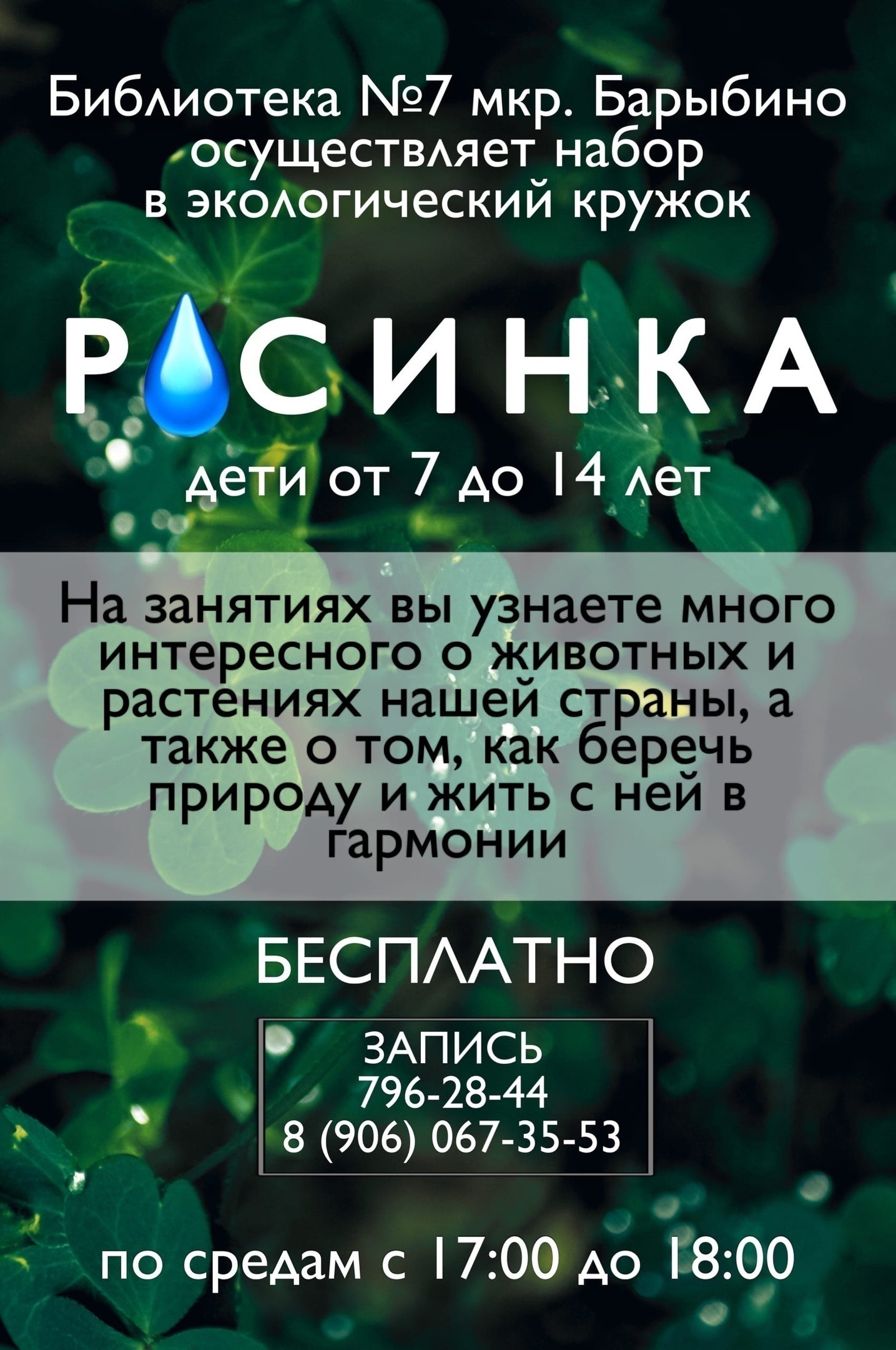 Городская библиотека № 7 микрорайона «Барыбино»