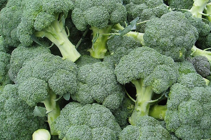 Купить крем от псориаза ПсоНикан в Москве, цена, фото и отзывы