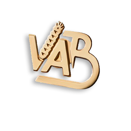 Металлический значок (пин) vab