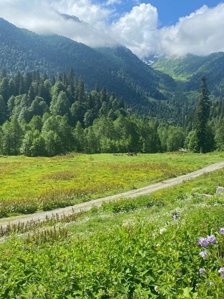 Зелёная горная поляна с лесом и облаками над вершинами